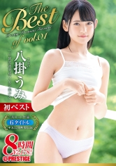 八掛うみ